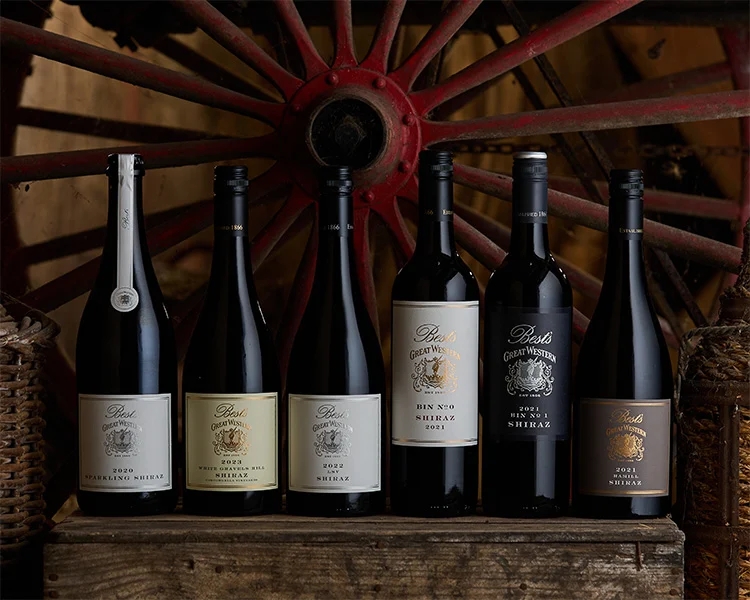 Wine Without the Waffle: A Dummy’s Guide to the Most Common Wine Styles and How to Order Them
