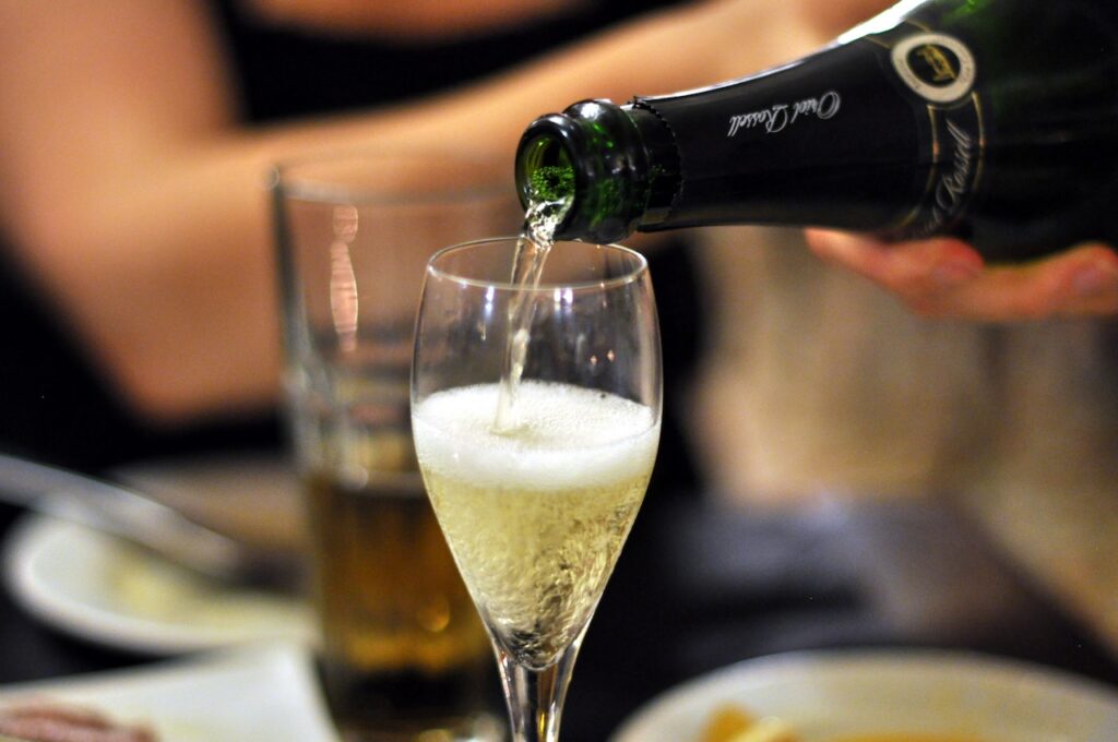 Wine Without the Waffle: A Dummy’s Guide to the Most Common Wine Styles and How to Order Them