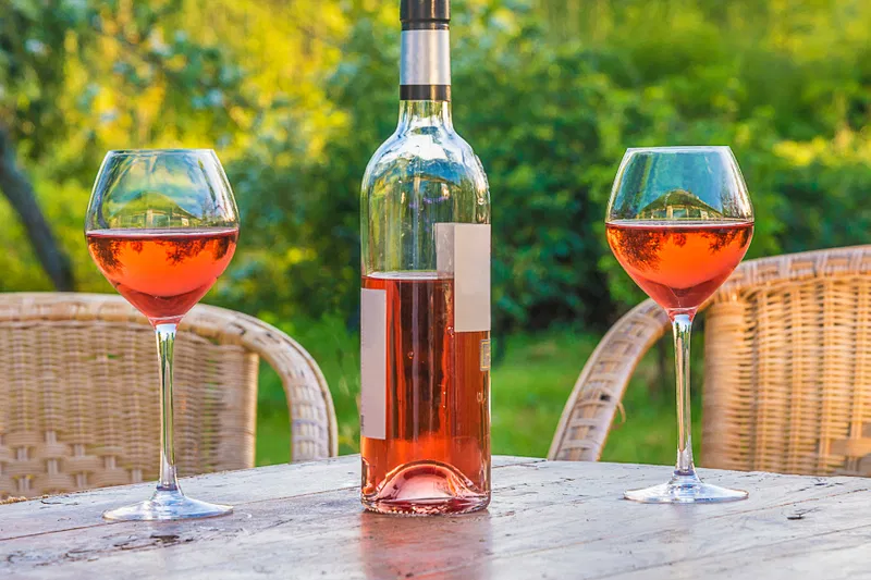 Wine Without the Waffle: A Dummy’s Guide to the Most Common Wine Styles and How to Order Them